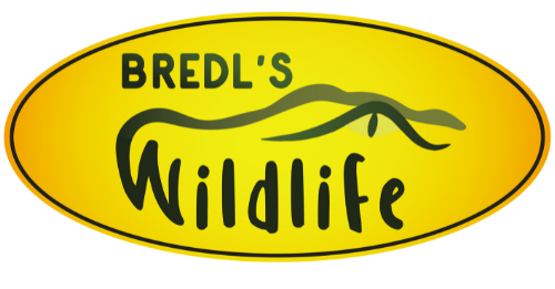 Bredl's Wildlife
